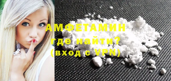 молекула духа Новозыбков