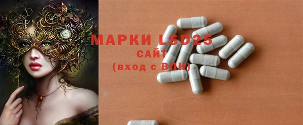 молекула духа Новозыбков