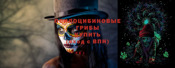 молекула духа Новозыбков