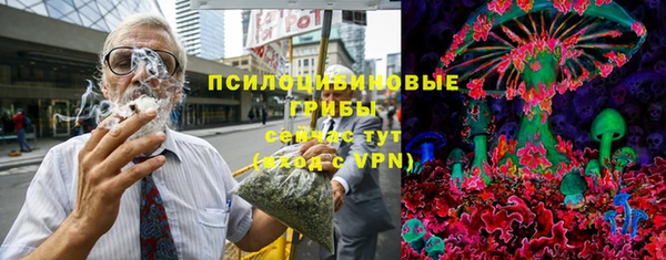 соль ск Новодвинск