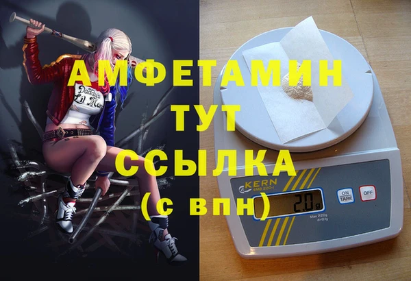 соль ск Новодвинск