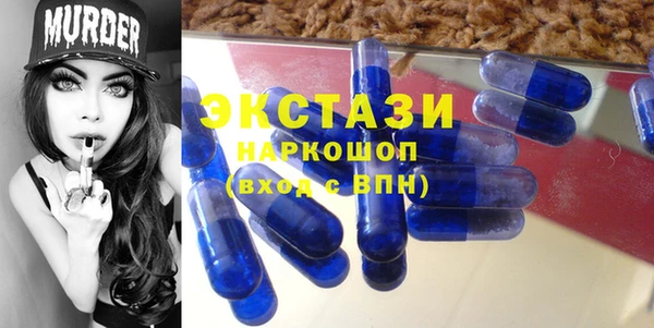 молекула духа Новозыбков