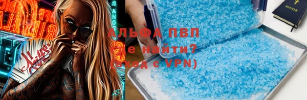 соль ск Новодвинск
