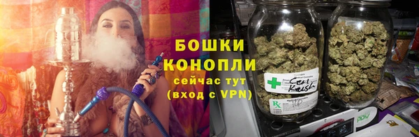 молекула духа Новозыбков