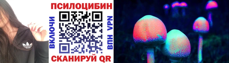 Псилоцибиновые грибы прущие грибы где купить блэк спрут ссылка Каменск-Шахтинский