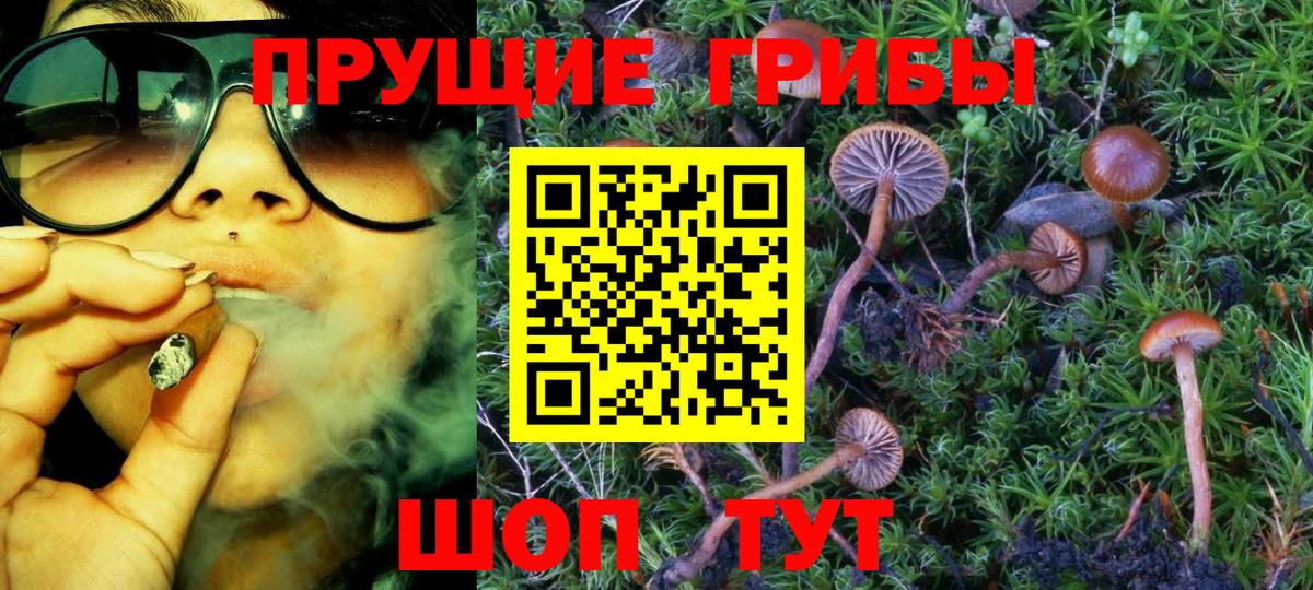 купить наркоту  Вход с VPN  Каменск-Шахтинский  Псилоцибиновые грибы Cubensis 
